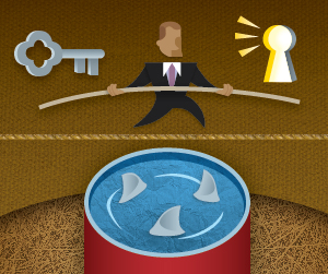 Balancing Privacy and Transparency in Social Media